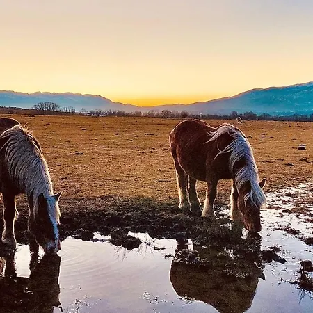 Horská chata Evasions Catalanes - Confort Vue Et Grand Air Saillagouse